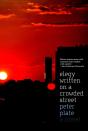 Elegy Written On A Crowded Street - Preview