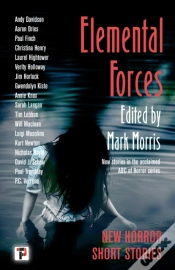 Capa do artigo Elemental Forces