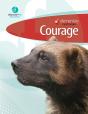 Elementary Curriculum Courage - Preview