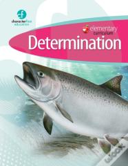 Elementary Curriculum Determination