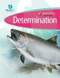 Elementary Curriculum Determination - Preview