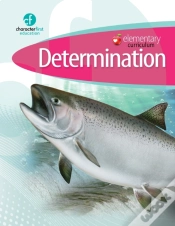 Capa do artigo Elementary Curriculum Determination