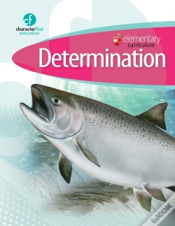 Capa do artigo Elementary Curriculum Determination