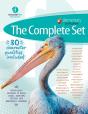 Elementary Curriculum The Complete Set - Preview