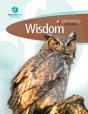 Elementary Curriculum Wisdom - Preview