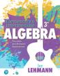 Elementary & Intermediate Algebra - Preview