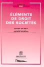 Éléments De Droit Des Sociétés - Preview