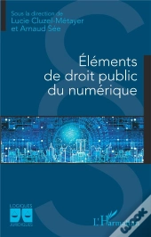 Eléments De Droit Public Du Numérique