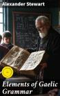 Elements Of Gaelic Grammar - Preview