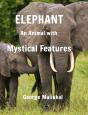Elephant - An Animal With Mystical Features - Preview