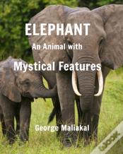 Elephant - An Animal With Mystical Features