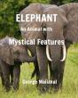 Elephant - An Animal With Mystical Features - Preview