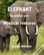 Elephant - An Animal With Mystical Features