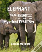 Elephant - An Animal With Mystical Features