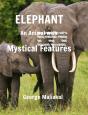 Elephant - An Animal With Mystical Features - Preview