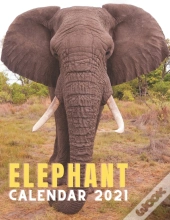 Elephant Calendar 2021
