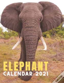 Capa do artigo Elephant Calendar 2021