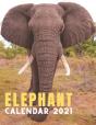 Elephant Calendar 2021 - Preview