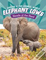Elephant Cows