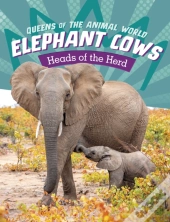 Elephant Cows