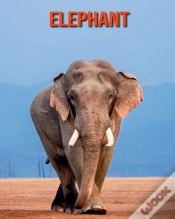 Capa do artigo Elephant