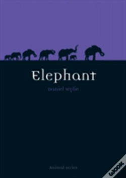 Capa do artigo Elephant