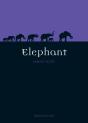 Elephant - Preview