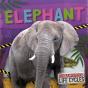Elephant - Preview