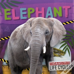 Capa do artigo Elephant