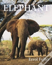 Capa do artigo Elephant