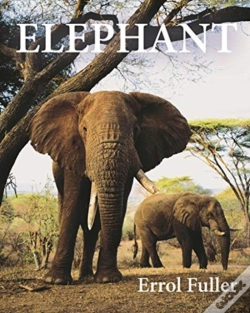 Capa do artigo Elephant
