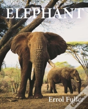 Capa do artigo Elephant