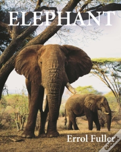Capa do artigo Elephant