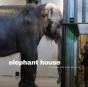 Elephant House - Preview