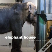Capa do artigo Elephant House