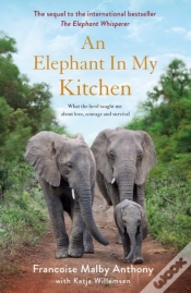 Capa do artigo Elephant In My Kitchen