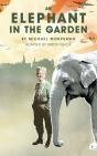 Elephant In The Garden - Preview