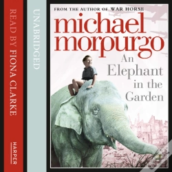 Capa do artigo Elephant In The Garden