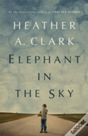 Capa do artigo Elephant In The Sky