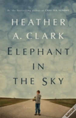 Capa do artigo Elephant In The Sky