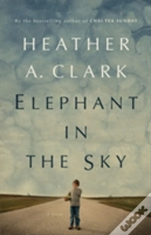 Elephant In The Sky