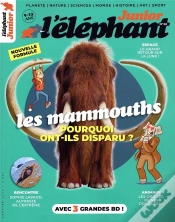 Capa do artigo Elephant Junior N°20
