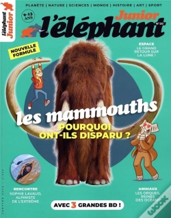 Capa do artigo Elephant Junior N°20