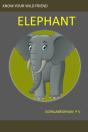 Elephant - Preview