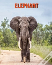 Capa do artigo Elephant