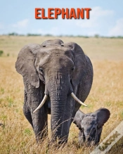 Capa do artigo Elephant