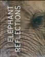 Elephant Reflections - Preview