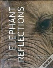 Capa do artigo Elephant Reflections