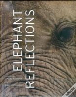 Capa do artigo Elephant Reflections