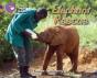 Elephant Rescue - Preview